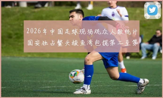 2026年中国足球现场观众人数统计国安独占鳌头梭鱼湾包揽第二至第七位